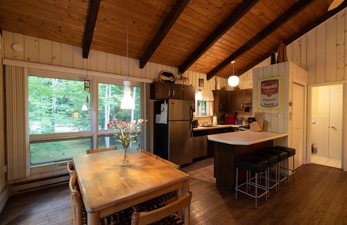 Hensonville Ski Chalet | Windham Immaculate Ski Chalet with Awesome Fire Pit.nAvailable 25/26 Ski Season!