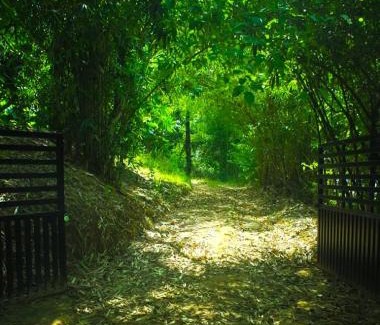 Sulthan Bathery House | Winds of wayanad