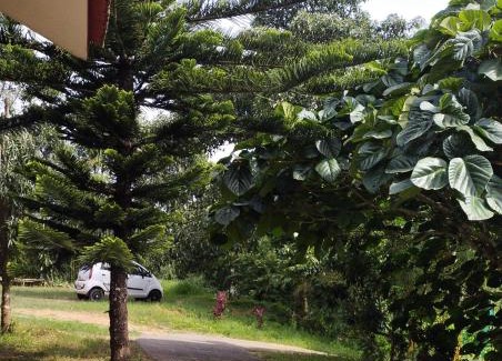 Sulthan Bathery House | Winds of wayanad