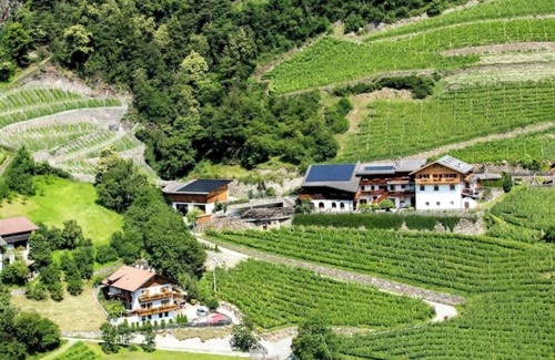 Cortina Sulla Strada del Vino Apartment | Winery Hofer Hof - APP. Veltliner