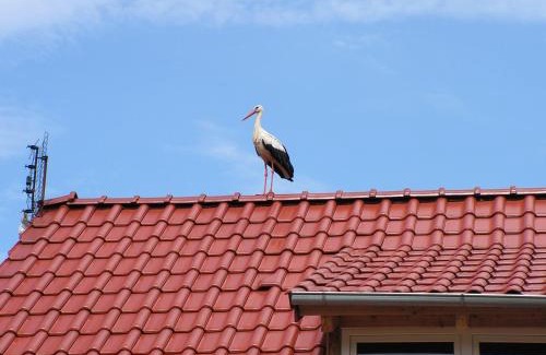 Zabor House | Winnica Na Leśnej Polanie