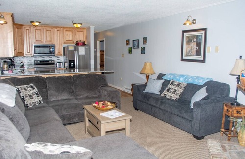 Ghent Condo | Winterplace Ski in/out E104