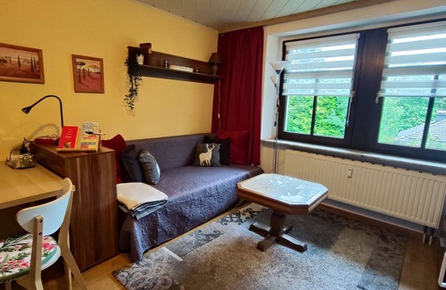 Gruenhain-Beierfeld Apartment | Wohnen am Balkon des Erzgebirges Ferienwohnung Ansimali