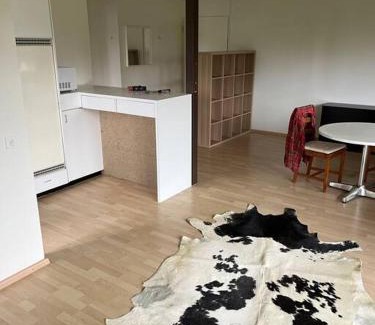 Meilen District Apartment | Wohnung Felix