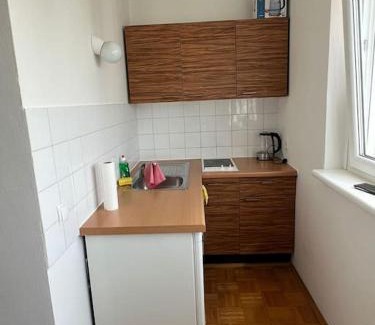 Graz City Centre Apartment | Wohnung in Graz