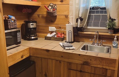 Wellston Hotel | Wolf Den at The Black Bear Inn! Satellite, WiFi, Near River & Hiking Trails!