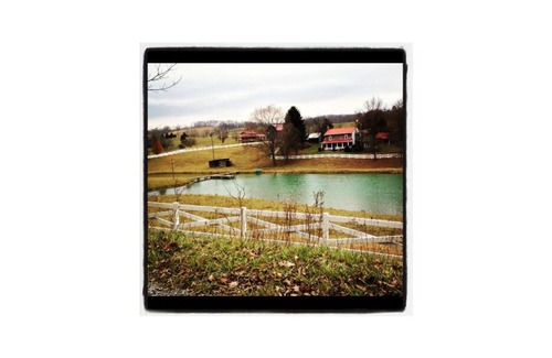 Wytheville Cabin | Wonderful Log Cabin with plenty of privacy, yet only minutes from Wytheville!