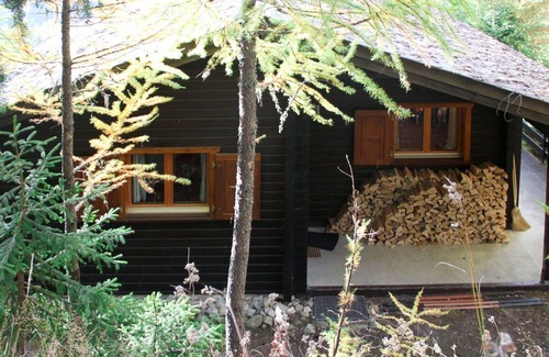 Bellwald House | Wonderful private villa for 6 guests with TV, balcony and parking