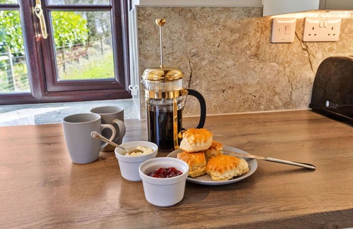 Holsworthy House | Wonderful villa for 7 guests with WIFI, terrace, pets allowed and parking