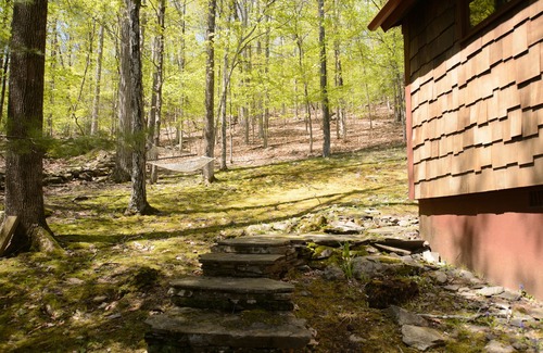 Boiceville Cabin | Woodland Cozy Cabin Catskills
