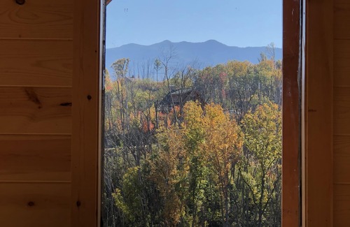 Chalet Village North Cabin | ✨ Woodlands: Best Location with add'l 20x40 level trailer parking area.