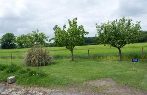 Birch Bed & Breakfast | Woodview B Colchester