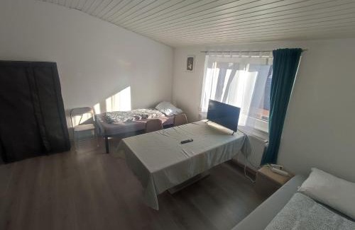 Biebrich Apartment | Workation Big, Cozy and central apartment 24 h check in
