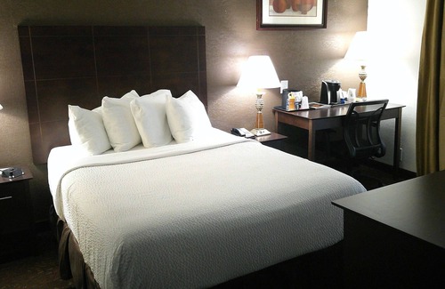 Romulus Hotel | Wyndham Garden Romulus Detroit Metro Airport