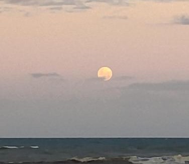 Xangri-La Apartment | Xangrilá, um paraíso perto da praia