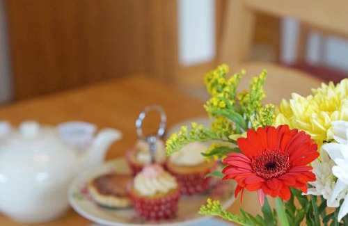 Aberystwyth House | Y Ddinas