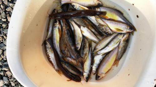 Yangyang House | Yangyang Riverhill Pension