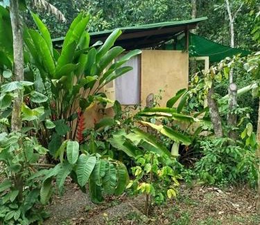 Serra Grande Other | YbYmara Eco Glamping