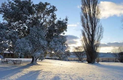 Adaminaby Cabin | Your gateway to an unforgettable holiday experience in the stunning Snowy Mountains!