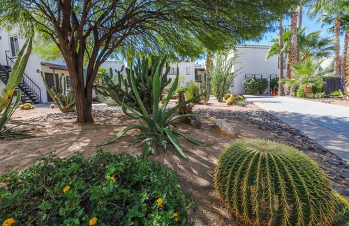 Tucson Condo | Your Perfect Getaway! 10 Minutes to Saguaro Park East 1bd/1ba Condominium