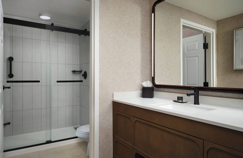 Downtown Tampa Hotel | Your Tampa Adventure Begins! Modern Luxury!