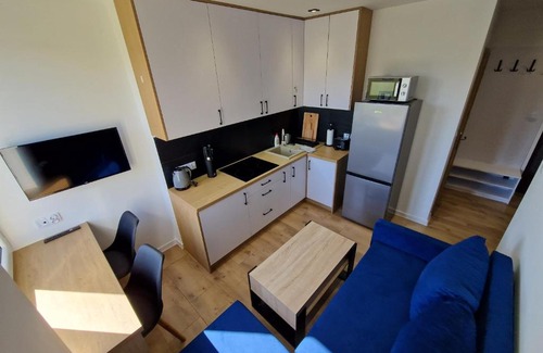 Debica Apartment | YourSecondFlat Sobieski Apartment
