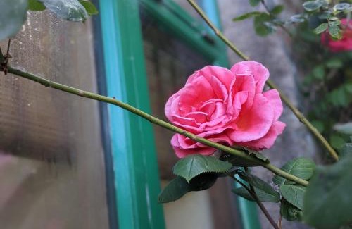 Barmouth House | Yr Hen Feudy
