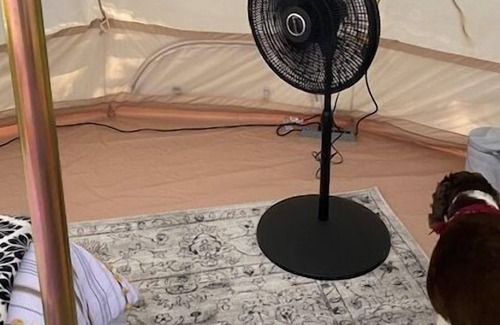 Suches RV Rental | Yurt - The Presley (third on the left)