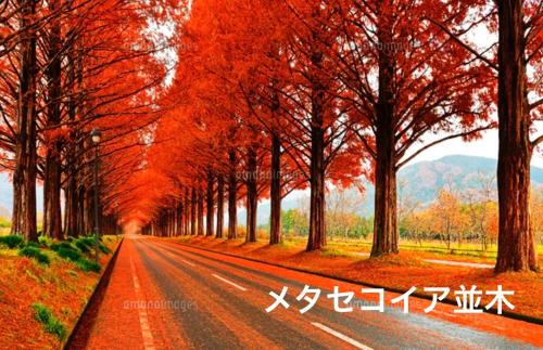 Nagahama Apartment | YURURIBASE 凛 -LakeBiwa,Nagahama