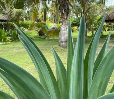 San Bernardo del Viento House | Zéfiro Hostal