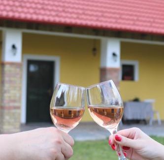 Kiskunmajsa Apartment | Zöld Tanya Vendégház és Rendezvényközpont