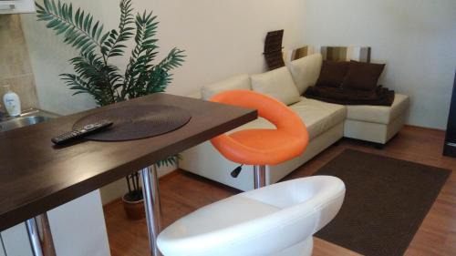 Jelenia Gora Apartment | Z prywatnym ogródkiem Centrum