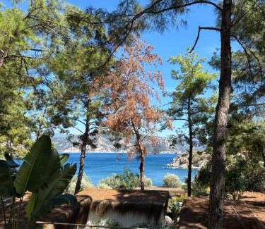 Marmaris Hotel | Z-Villas Beach Hotel