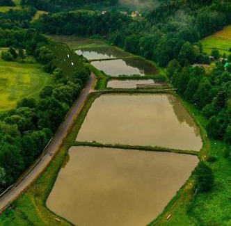 Ciezkowice Other | Zacisze Ośmiu Stawów Siekierczyna - The Quort of Eight Pounds