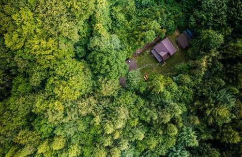 Feleacu House | ZADA nature lounge