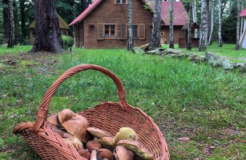 Osiecznica House | Zakatek Kliczkow