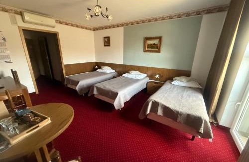 Debica Hotel | Zamek Camelot