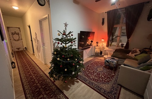 Oslo City Centre Apartment | Zen house for healing stay Oslo Norway, walks away from Train and Bus stations❤️