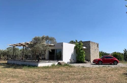 Torbali House | Zeytincik Çiftlik- 50 dönümlük bahçedeki tek ev