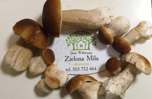 Cekcyn House | Zielona Mila Dom Wakacyjny