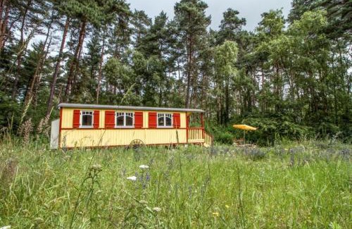 Rutenberg House | Zigappo Classique