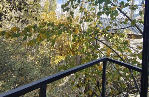 Hunza Ski Chalet | Zihin With Forest View - Cloud Nine And a Half