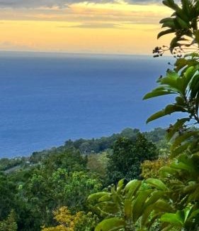Oslob Other | Zion View Point and Campsite