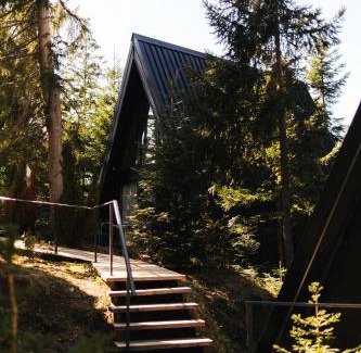 Brdo Ski Chalet | ZlatAir Black Boutique Chalets