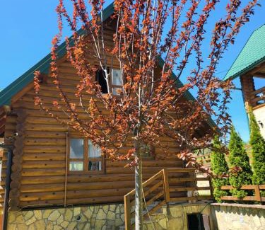 Ciganska Mahala Ski Chalet | Zlatar Luxury Chalet - TRACE OF NATURE 2214