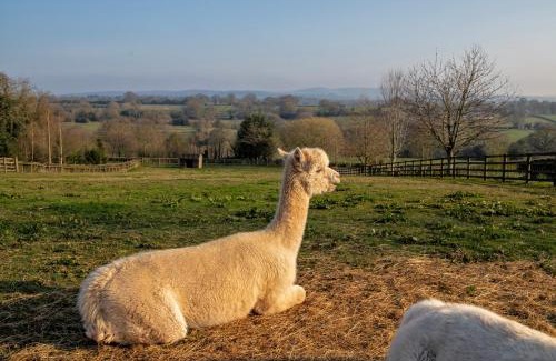 Denstone House | Zoe's Cottage with Alpaca's and 7 mins drive to Alton Towers