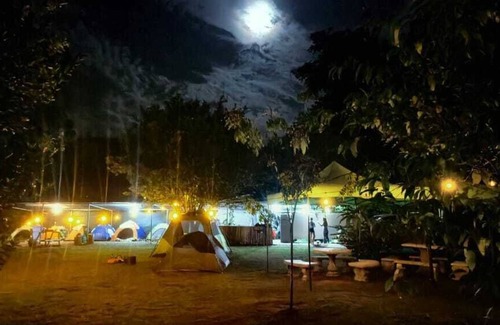 Palma Hotel | Zompopas Trail