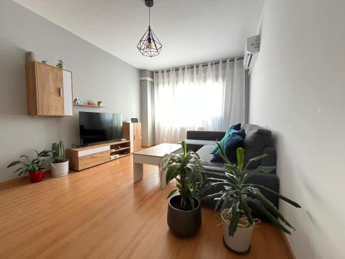 Ánade Real Guest House