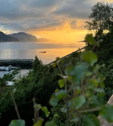 Øen Hytter - Hytte 2