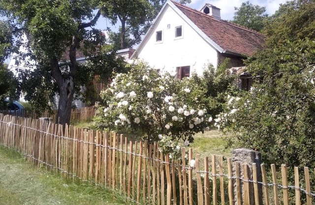 Útulný domek s malou zahrádkou
